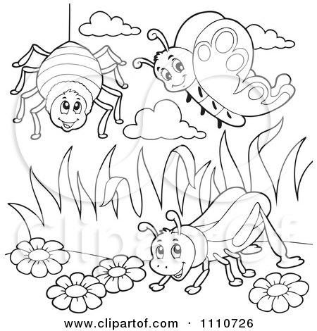 Clipart Outlined Spider Butterfly And Grasshopper - Royalty Free Vector Illustration by visekart