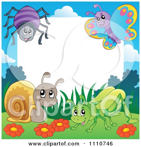 Clipart Blank Copyspace Bordered With A Spider Butterfly Snail And Grasshopper - Royalty Free Vector Illustration by visekart