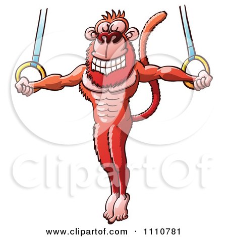 Clipart Athletic Monkey On The Flying Rings - Royalty Free Vector Illustration by Zooco
