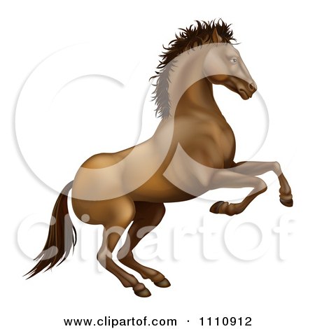 Clipart Rearing Brown Horse - Royalty Free Vector Illustration by AtStockIllustration
