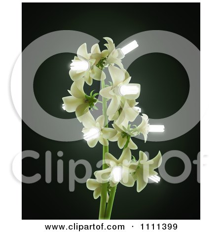 Clipart 3d Energy Saving Bulb Blossoms On A Flowering Plant - Royalty Free CGI Illustration by Mopic