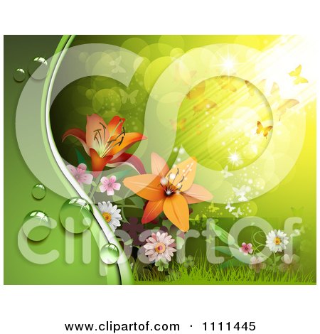 Clipart Background Of Lilies Light And Butterflies 1 - Royalty Free Vector Illustration by merlinul