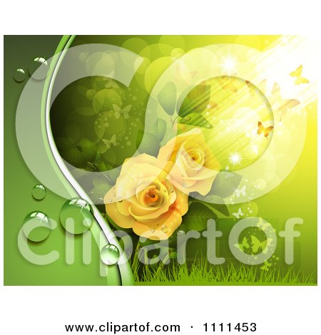 Clipart Background Of Yellow Roses Dew And Butterflies On Green - Royalty Free Vector Illustration by merlinul