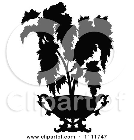 Clipart Silhouetted Potted Plant In Black And White - Royalty Free Vector Illustration by Prawny Vintage