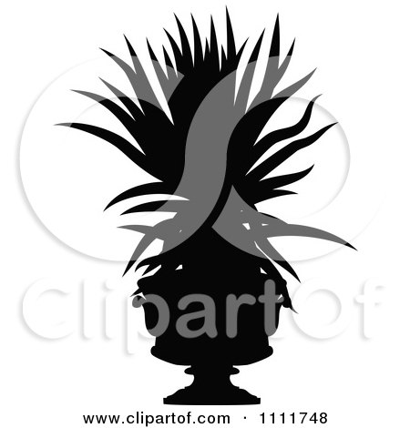 Clipart Silhouetted Potted Aloe Plant In Black And White - Royalty Free Vector Illustration by Prawny Vintage