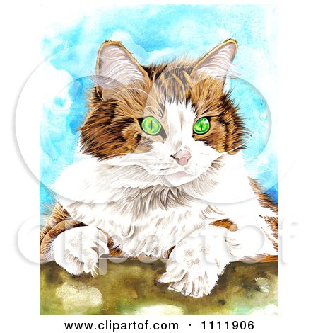 Clipart Green Eyed Cat Portrait - Royalty Free Illustration by Prawny