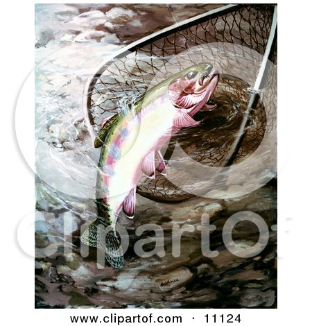 Clipart Illustration of a Golden Trout in a Fishing Net by JVPD