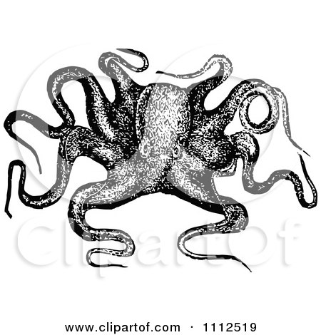 Clipart Vintage Black And White Octopus 2 - Royalty Free Vector Illustration by Prawny Vintage