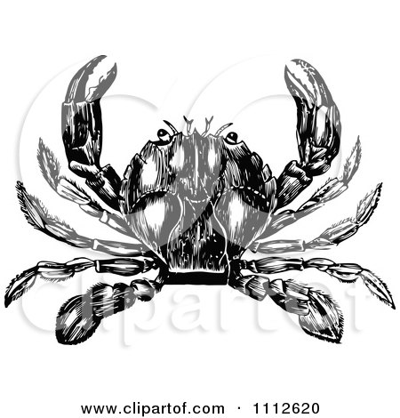 Clipart Black And White Vintage Crab 3 - Royalty Free Vector Illustration by Prawny Vintage
