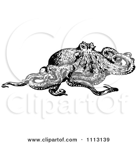Clipart Vintage Black And White Octopus 3 - Royalty Free Vector Illustration by Prawny Vintage