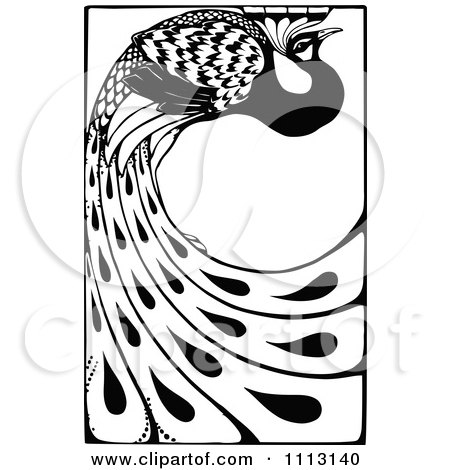 Clipart Vintage Black And White Peacock With Long Feathers - Royalty Free Vector Illustration by Prawny Vintage