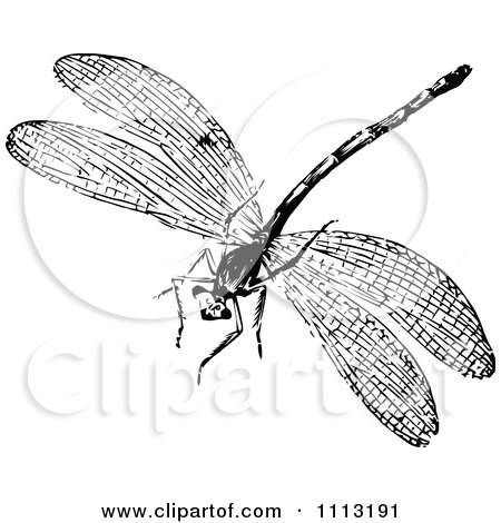 Clipart Vintage Black And White Dragonfly - Royalty Free Vector Illustration by Prawny Vintage