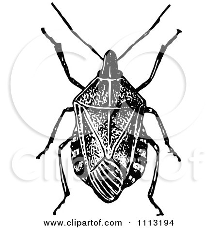 Clipart Vintage Black And White Stink Bug - Royalty Free Vector Illustration by Prawny Vintage