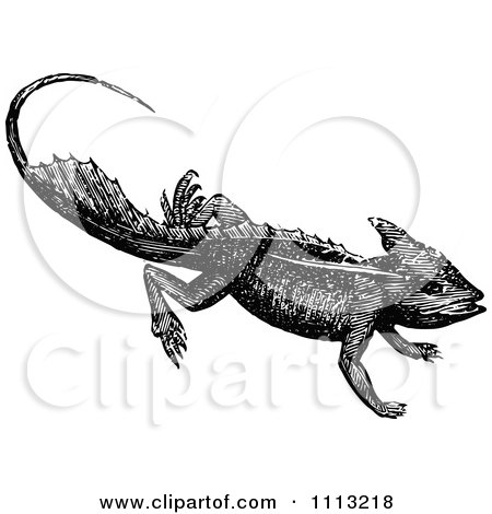 Clipart Vintage Black And White Basilisk Lizard - Royalty Free Vector Illustration by Prawny Vintage