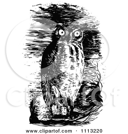 Clipart Vintage Horned Owl In The Night - Royalty Free Vector Illustration by Prawny Vintage
