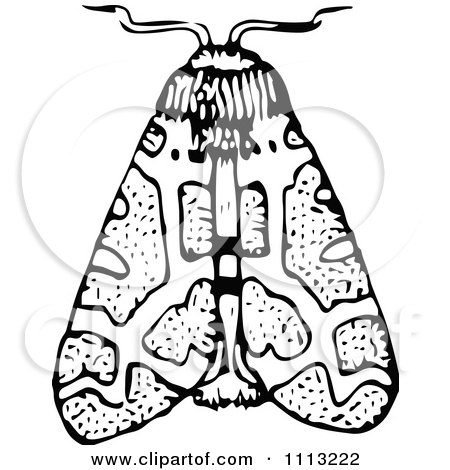 Clipart Vintage Black And White Moth - Royalty Free Vector Illustration by Prawny Vintage