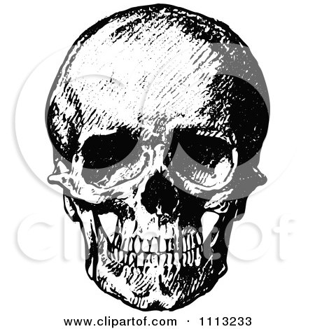 Clipart Vintage Black And White Human Skull 1 - Royalty Free Vector Illustration by Prawny Vintage