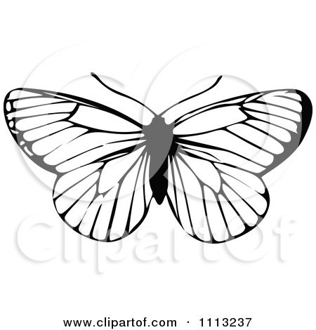 Clipart Black And White Butterfly - Royalty Free Vector Illustration by Prawny Vintage