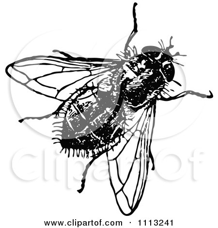Clipart Vintage Black And White House Fly - Royalty Free Vector Illustration by Prawny Vintage