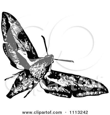 Clipart Vintage Black And White Flying Moth - Royalty Free Vector Illustration by Prawny Vintage