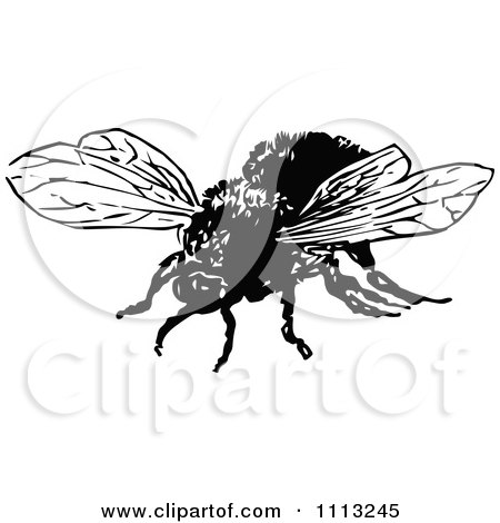 Clipart Vintage Black And White Bumble Bee - Royalty Free Vector Illustration by Prawny Vintage