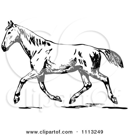 Clipart Vintage Black And White Trotting Horse - Royalty Free Vector Illustration by Prawny Vintage