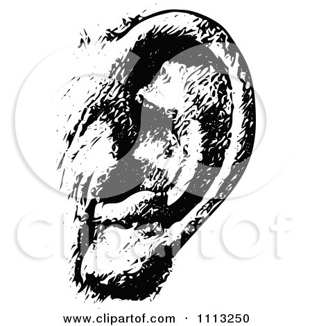 Clipart Vintage Black And White Human Ear - Royalty Free Vector Illustration by Prawny Vintage