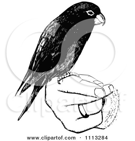 Clipart Vintage Black And White Parrot Perched On A Hand - Royalty Free Vector Illustration by Prawny Vintage