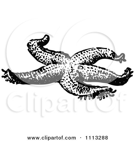 Clipart Vintage Black And White Starfish - Royalty Free Vector Illustration by Prawny Vintage