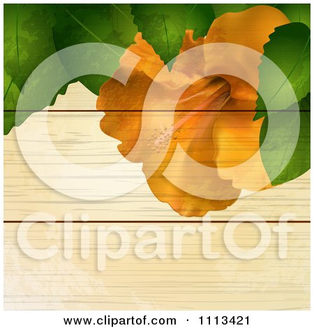 Clipart Orange Hibiscus Flower And Leaves Over Grungy Wood - Royalty Free Vector Illustration by elaineitalia