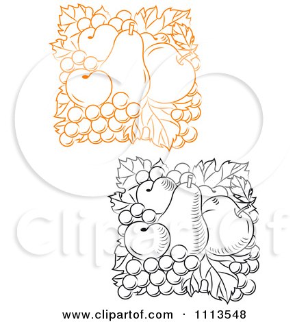 Clipart Black And White And Orange Fruit - Royalty Free Vector Illustration by Vector Tradition SM