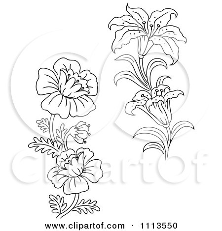 Clipart Black And White Lily And Wild Flowers - Royalty Free Vector Illustration by Vector Tradition SM