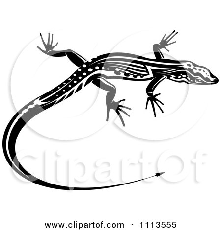 Clipart Black And White Tribal Lizard 14 - Royalty Free Vector Illustration by Vector Tradition SM