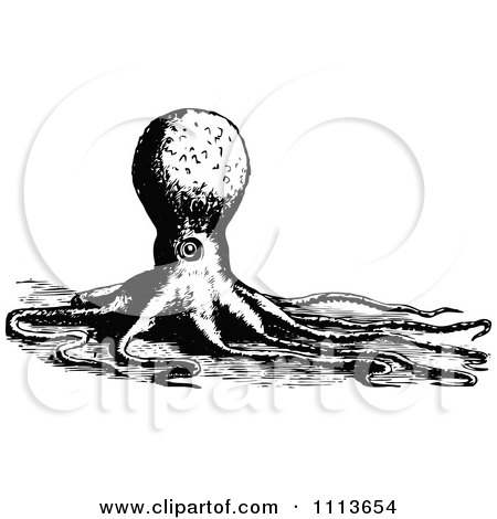 Clipart Vintage Black And White Octopus 4 - Royalty Free Vector Illustration by Prawny Vintage