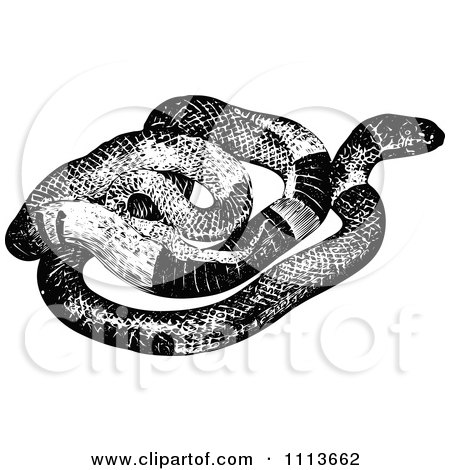 Clipart Vintage Black And White Snake - Royalty Free Vector Illustration by Prawny Vintage