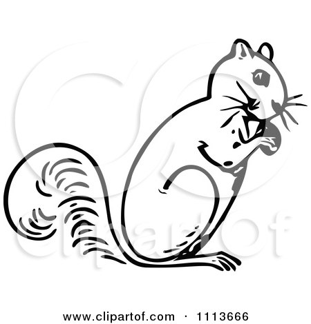 Clipart Vintage Black And White Squirrel Eating A Nut - Royalty Free Vector Illustration by Prawny Vintage
