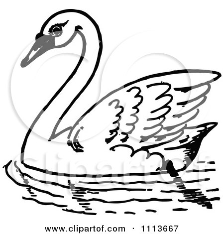 Clipart Vintage Black And White Swimming Swan - Royalty Free Vector Illustration by Prawny Vintage