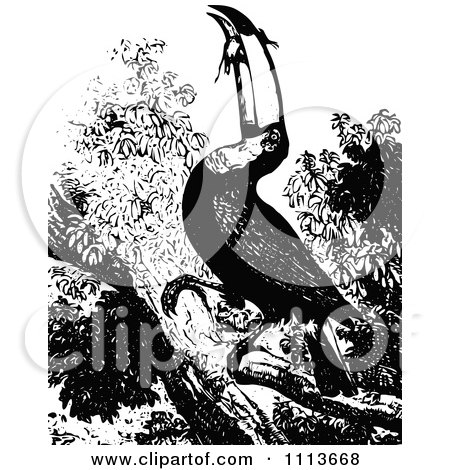 Clipart Vintage Black And White Toucan Eating - Royalty Free Vector Illustration by Prawny Vintage