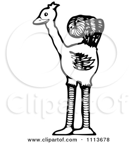 Clipart Vintage Black And White Circus Ostrich - Royalty Free Vector Illustration by Prawny Vintage