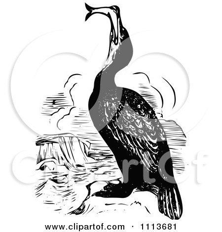 Clipart Vintage Black And White Cormorant Eating A Fish - Royalty Free Vector Illustration by Prawny Vintage