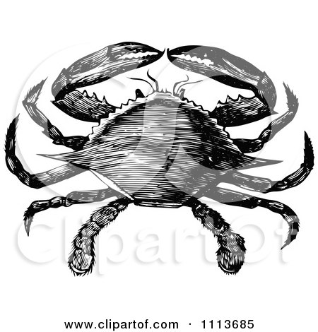 Clipart Vintage Black And White Blue Crab - Royalty Free Vector Illustration by Prawny Vintage