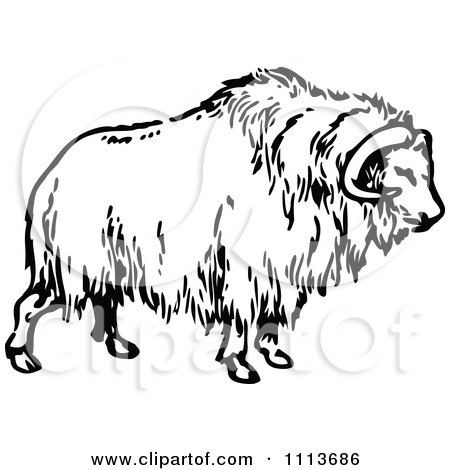 Clipart Vintage Black And White Musk Ox - Royalty Free Vector Illustration by Prawny Vintage