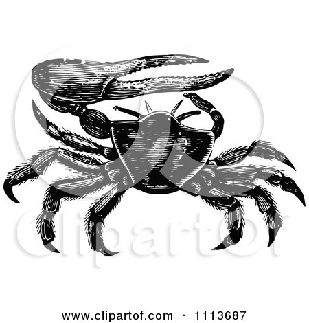 Clipart Vintage Black And White Fiddler Crab - Royalty Free Vector Illustration by Prawny Vintage