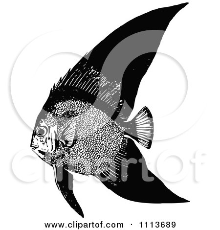 Clipart Vintage Black And White Tropical Marine Fish 1 - Royalty Free Vector Illustration by Prawny Vintage