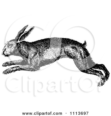 Clipart Vintage Black And White Rabbit Hopping - Royalty Free Vector Illustration by Prawny Vintage