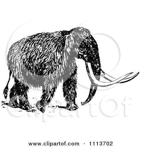 Clipart Vintage Black And White Wooly Mammoth 2 - Royalty Free Vector Illustration by Prawny Vintage