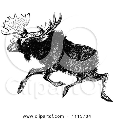 Clipart Vintage Black And White Moose Running - Royalty Free Vector Illustration by Prawny Vintage