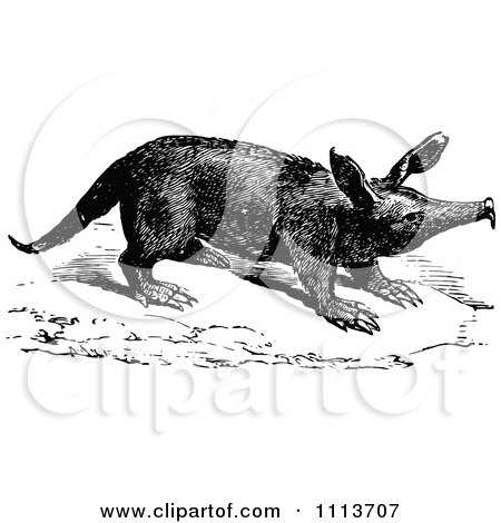 Clipart Vintage Black And White Aardvark - Royalty Free Vector Illustration by Prawny Vintage