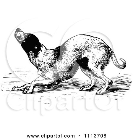 Clipart Vintage Black And White Dog Bowing - Royalty Free Vector Illustration by Prawny Vintage