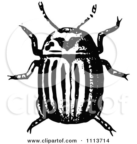 Clipart Vintage Black And White Potato Beetle - Royalty Free Vector Illustration by Prawny Vintage